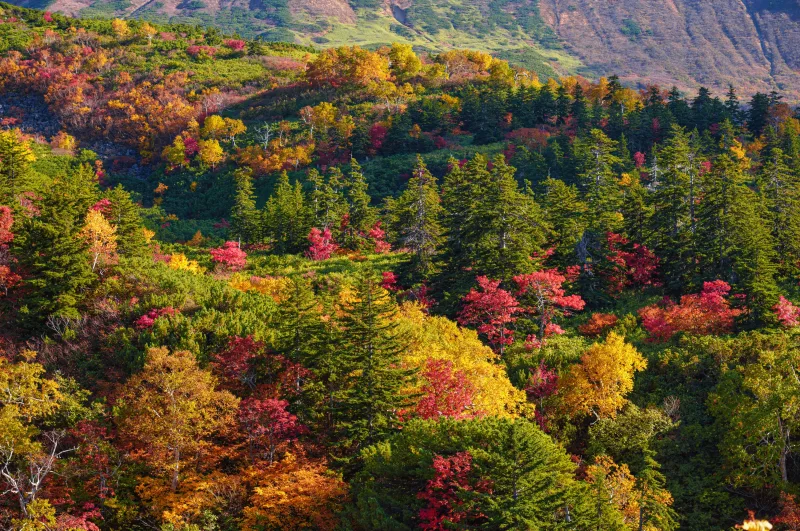 Foto scattata con sigma 18-50mm contemporary per canon rf