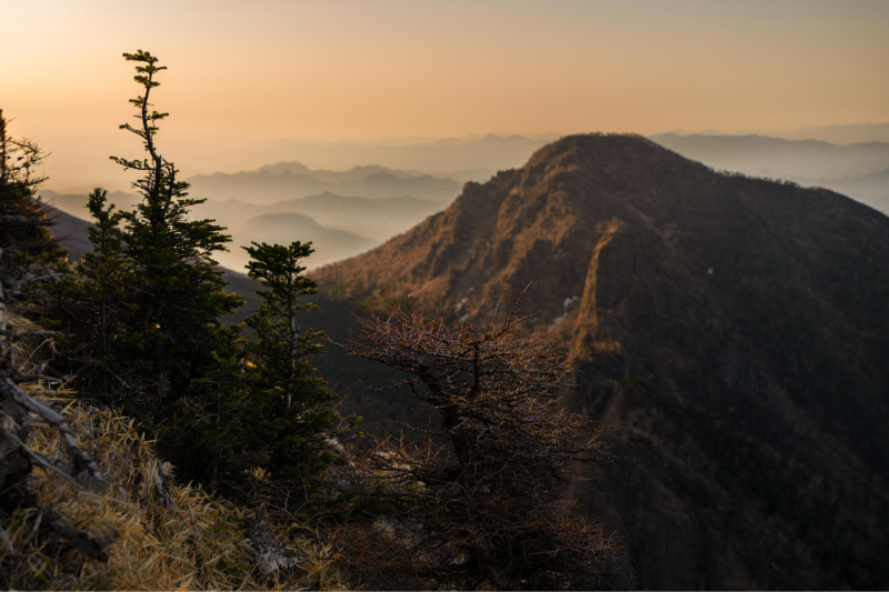 Foto scattata con Sigma Art 28-45mm F1.8 DG DN