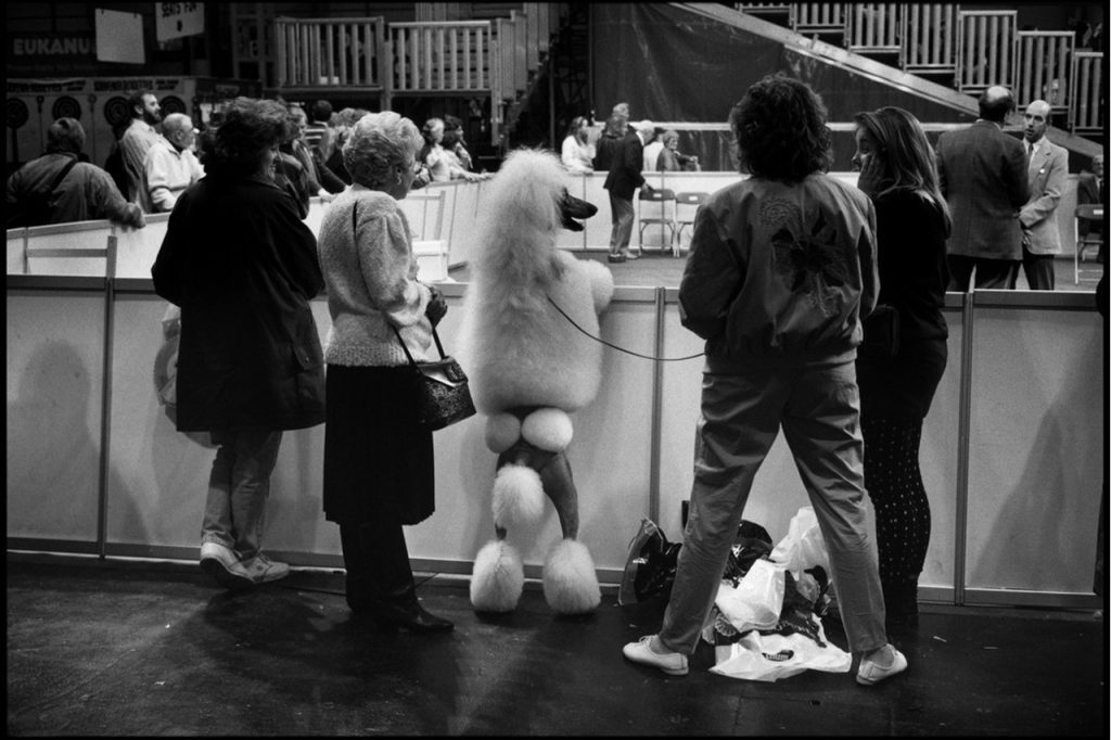 Fotografia di cani con padroni scattata da Elliott Erwitt