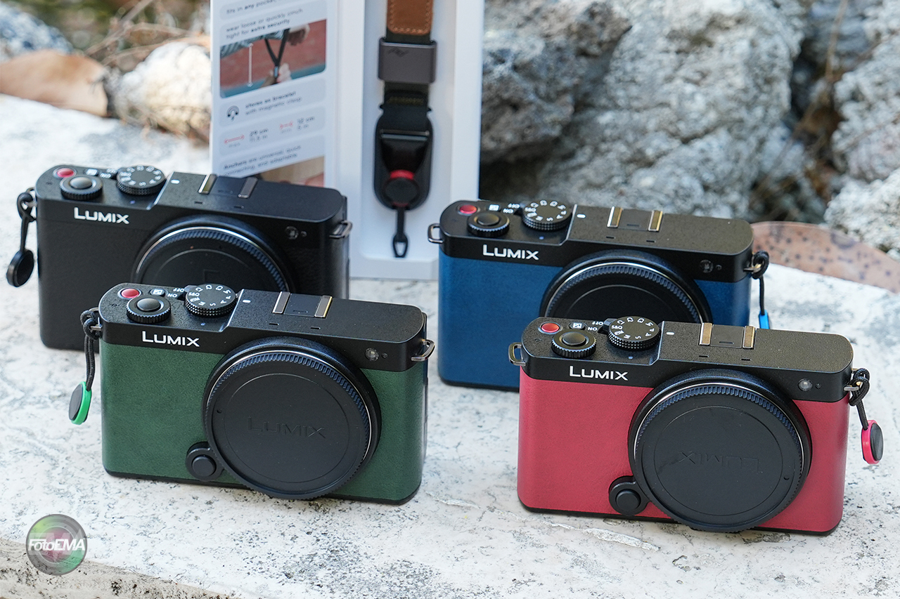 Panasonic Lumix S9: colorazioni