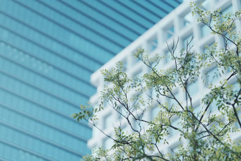 SEL85F14GMII: bokeh eccezionali