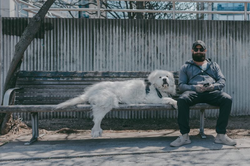Angelo Ferrillo, NYC