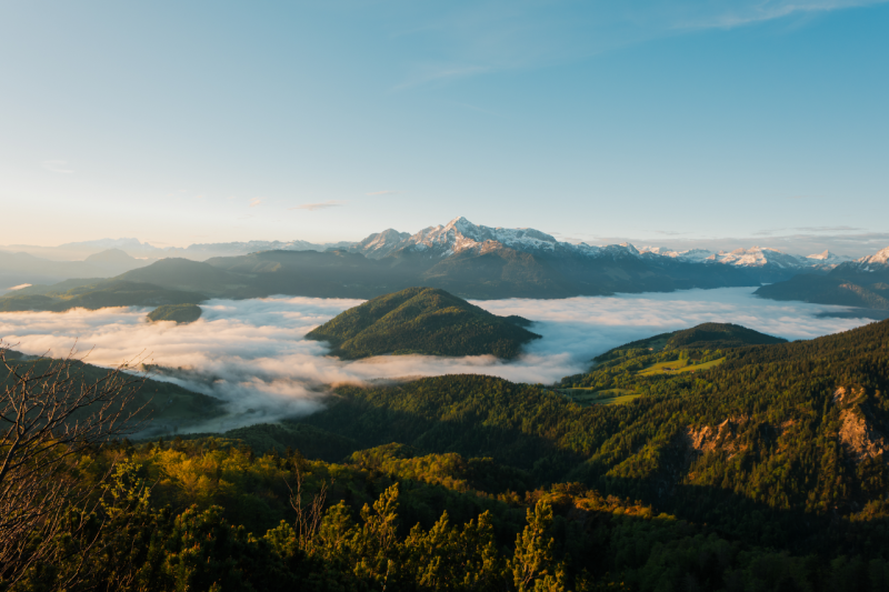 Foto scattata con sigma C 12mm f1.4 DG