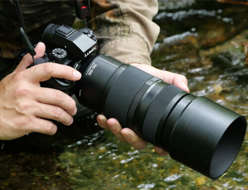 Panasonic LUMIX S 100-500mm F5-7.1 O.I.S.: primo super-tele della serie LUMIX S fino a 500mm.