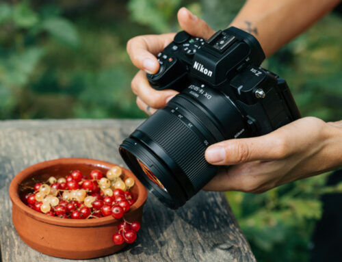 NIKKOR Z DX 16–50mm f/2.8 VR: luminoso,nitido e stabilizzato.