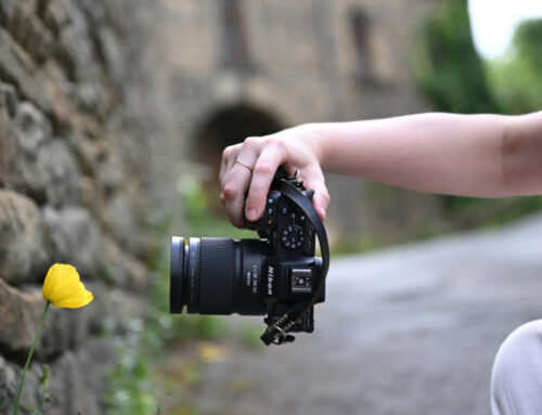 Nikkor Z DX MC 35mm f/1.7: macro, luce e ispirazione