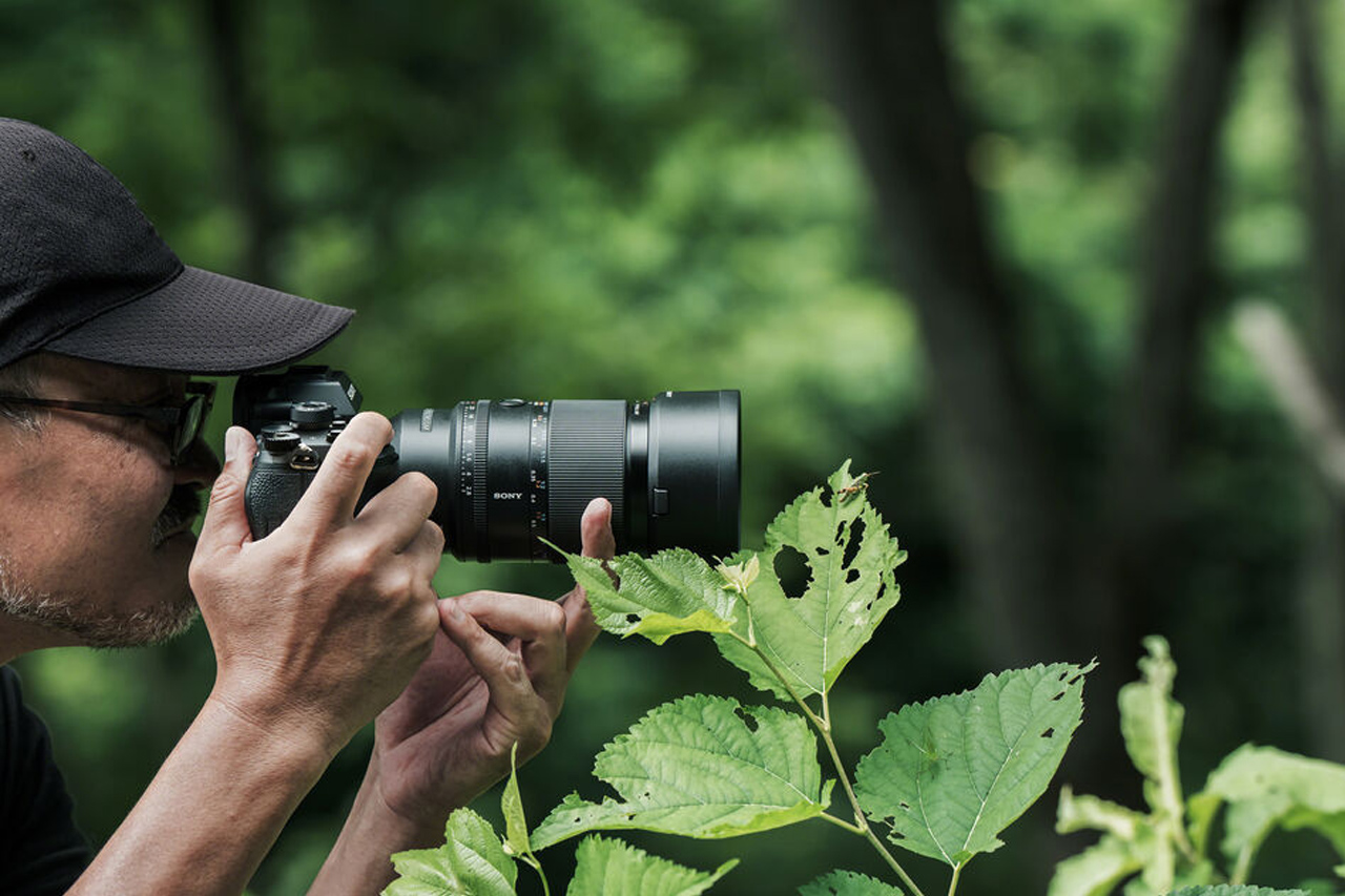 Sony FE 100mm F2.8 GM MACRO lifestyle