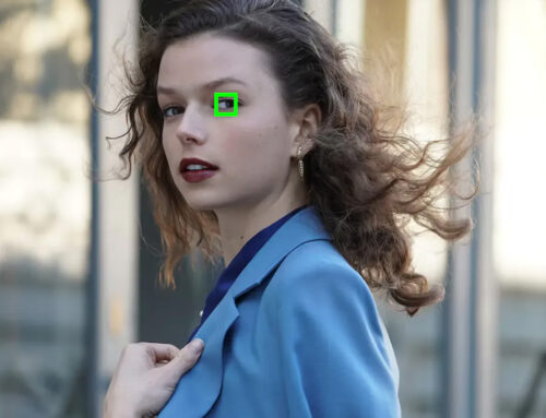 Sony a1 II e a9 III: nuovo aggiornamento software per AF potenziato