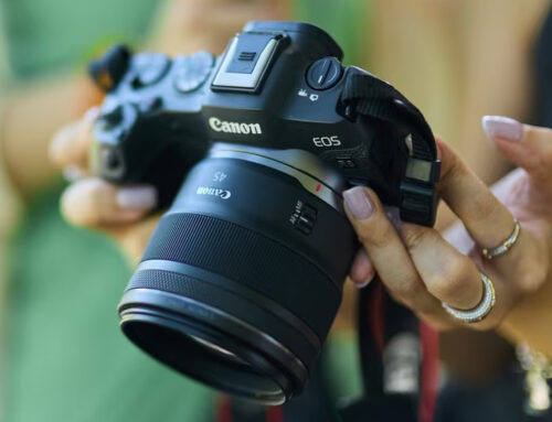 Canon RF 45mm F1.2 STM: luce, creatività e libertà.