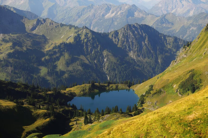 Sample foto scattata con Canon EOS R6 III