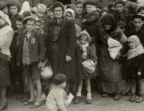 Mostre fotografiche 2026: “Seeing Auschwitz” a Torino.