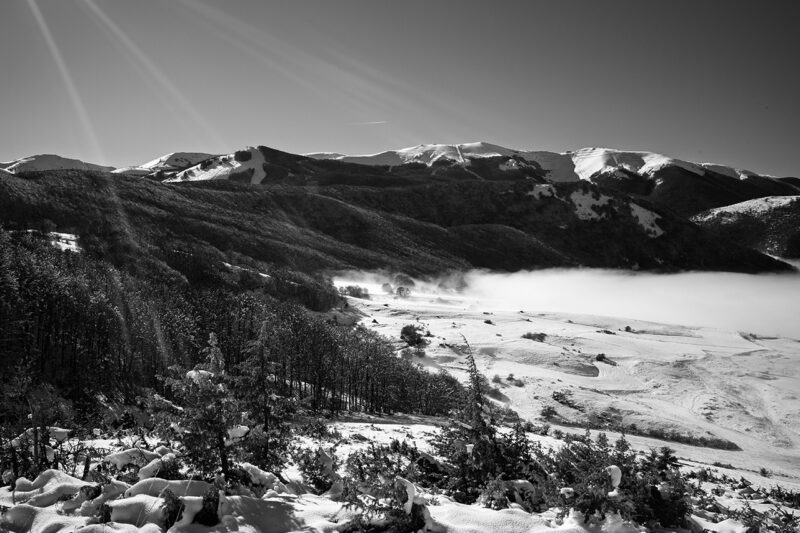 Foto a cura di Maurizio Navarro