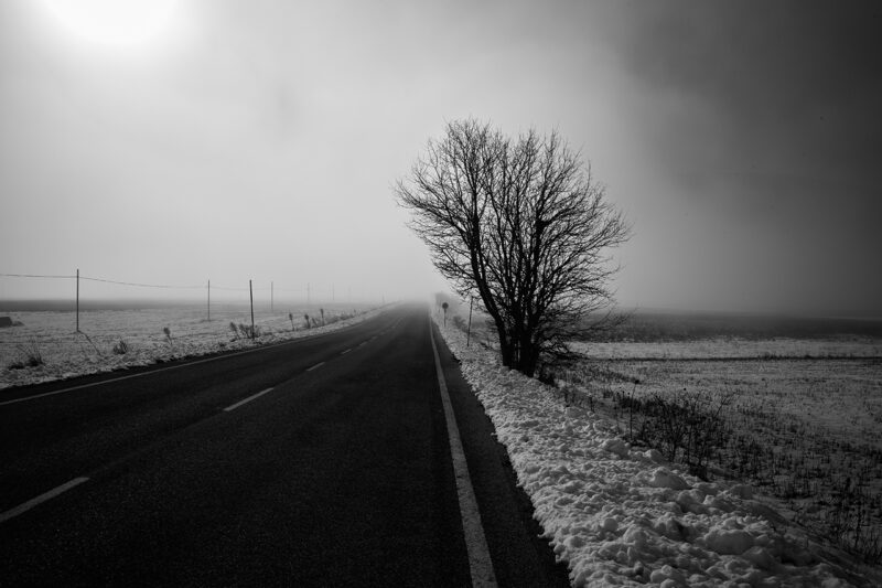 Maurizio Navarro: foto strada