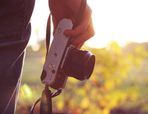 Fotografia per neofiti: guida completa per iniziare davvero nel 2026.